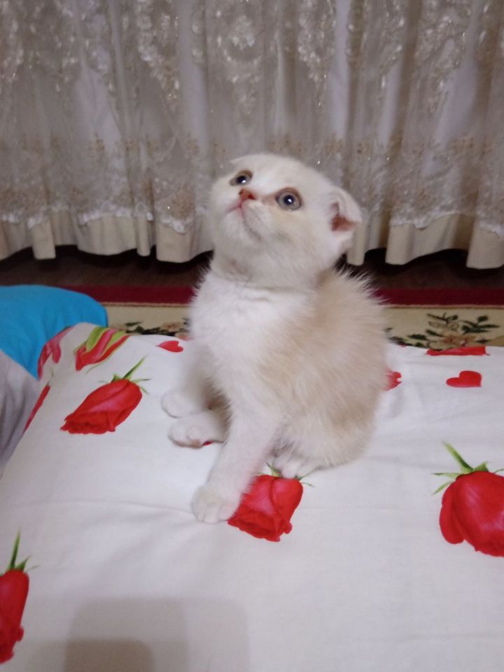 100 USD