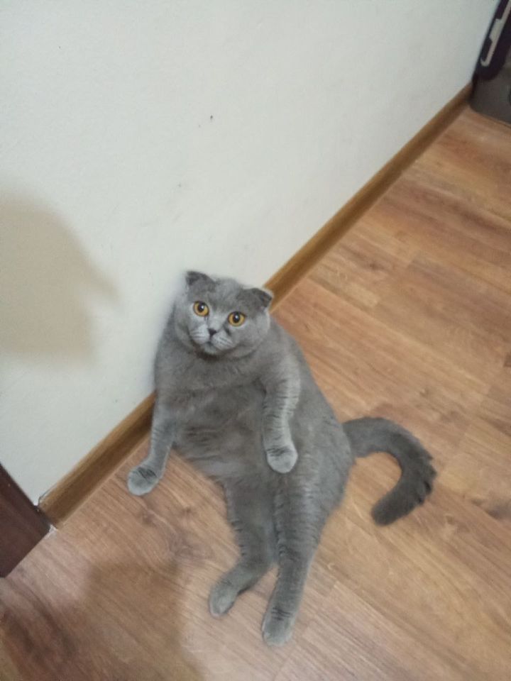 60 USD