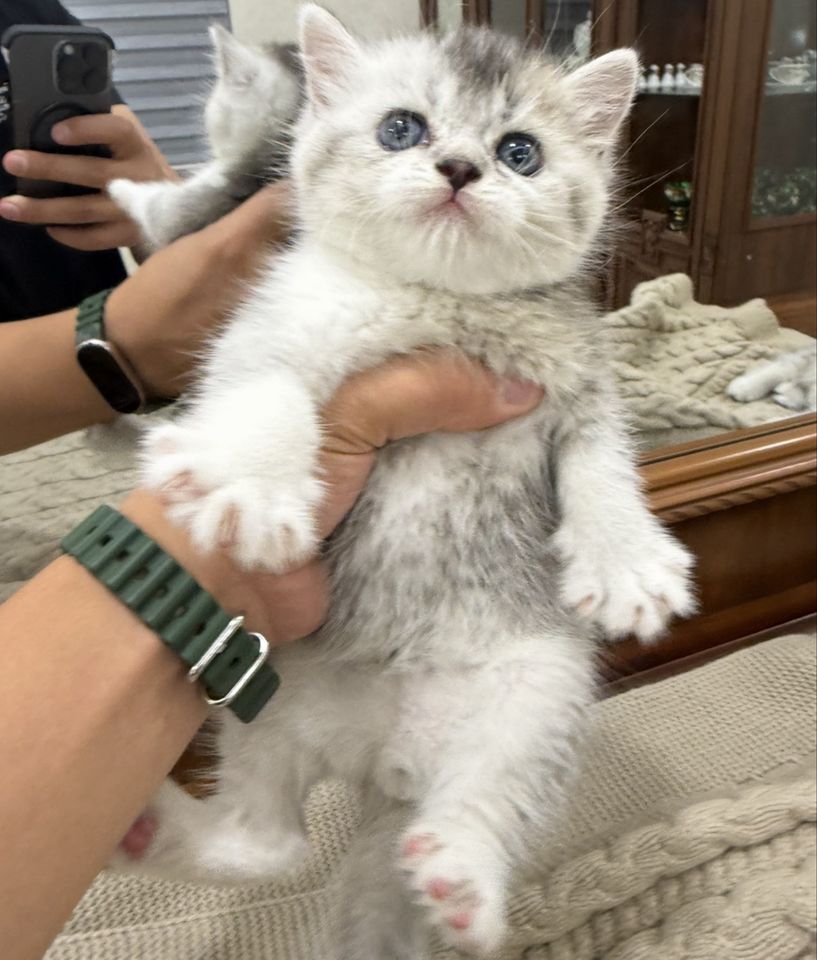 120 USD