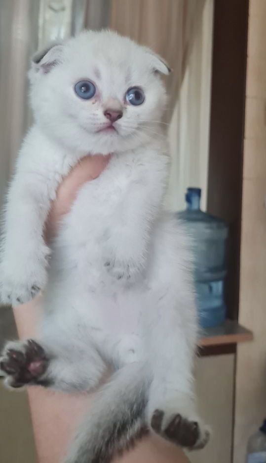 320 USD