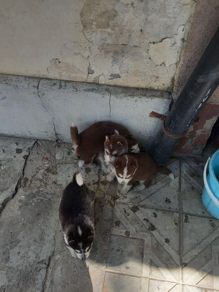 120 USD