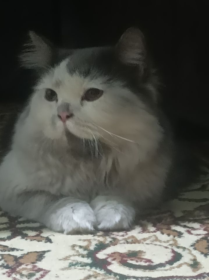 2 000 000 UZS
