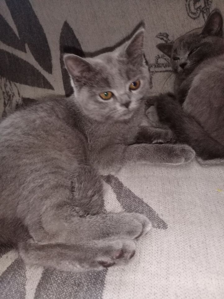 300 000 сум