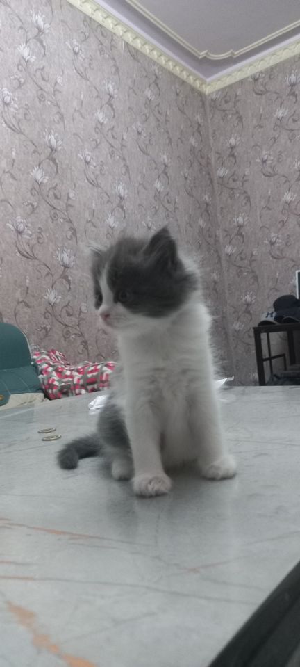 500 000 UZS