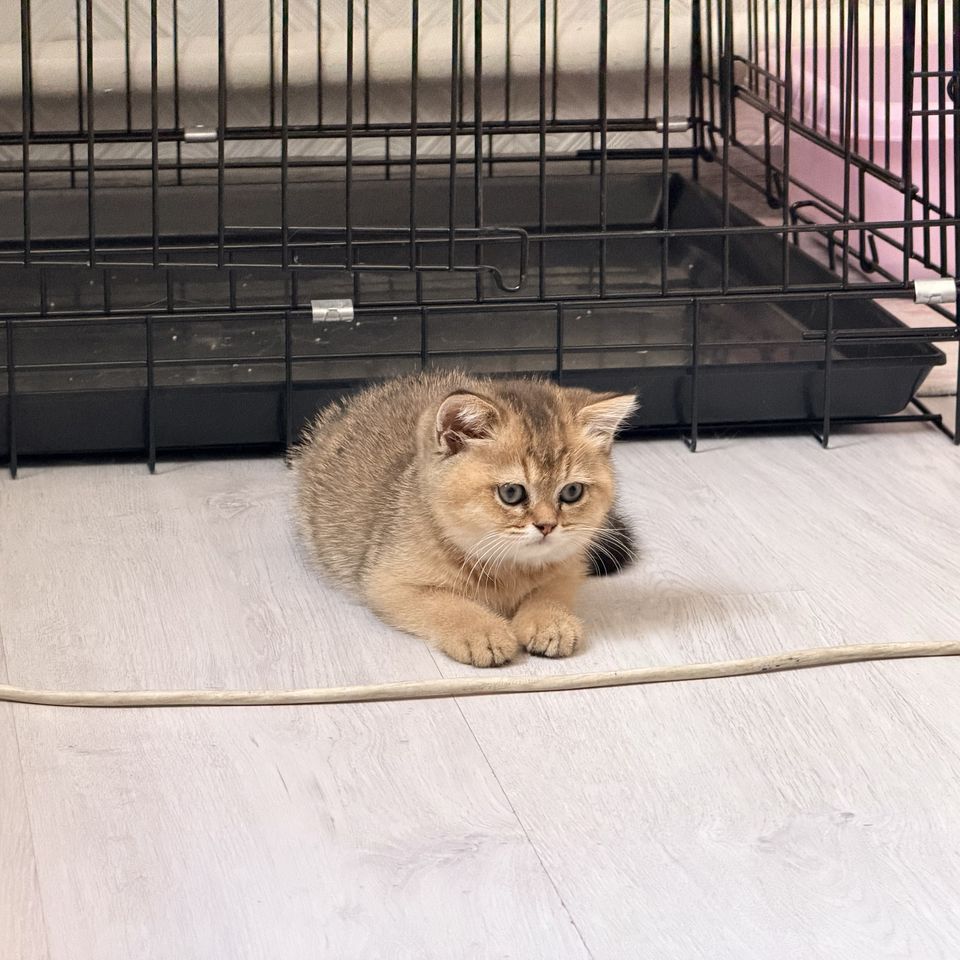 350 USD