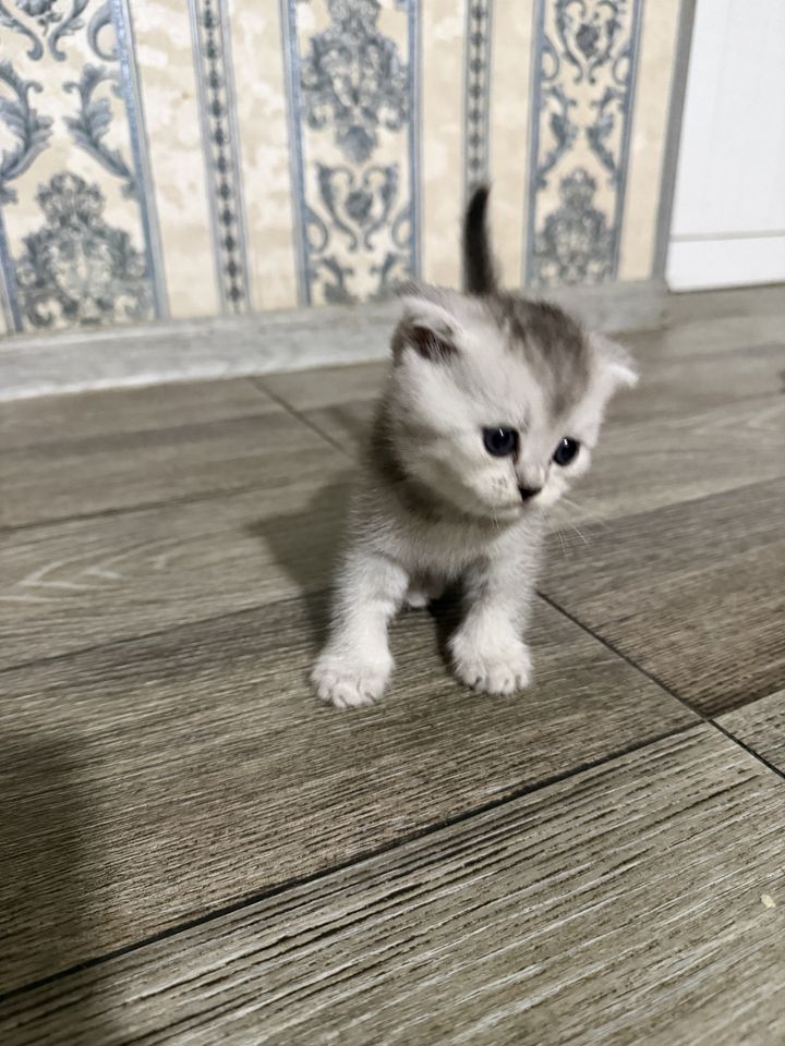 120 USD