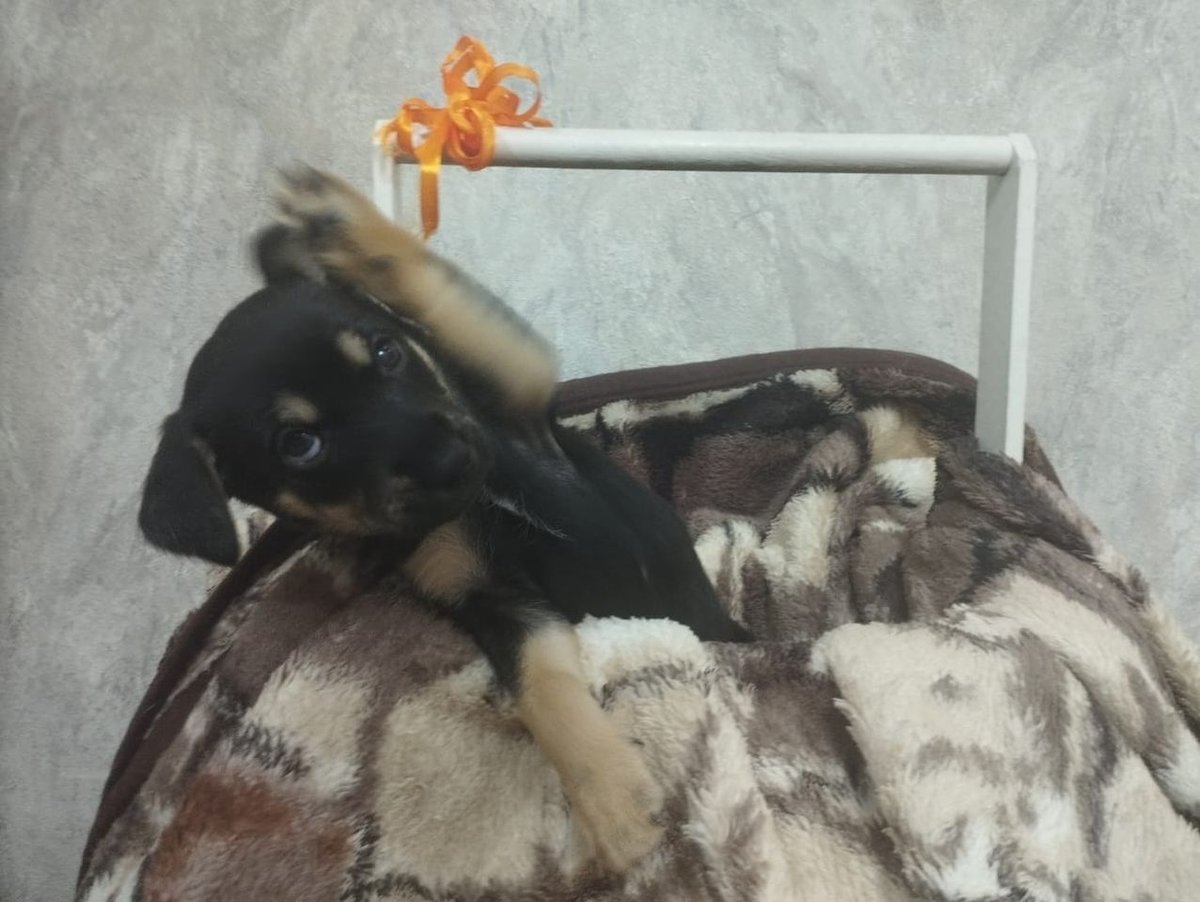 500 000 сум