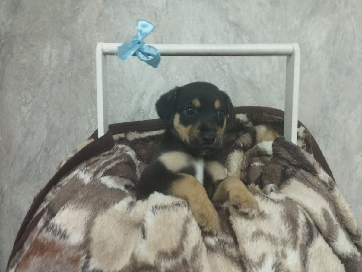 500 000 сум