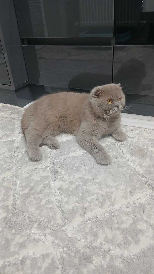 50 USD