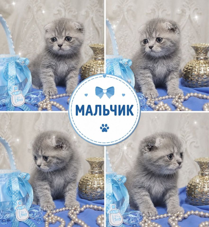 700 000 сум
