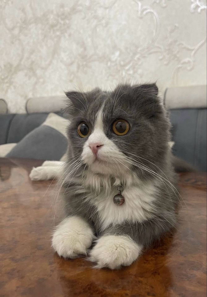 400 000 сум