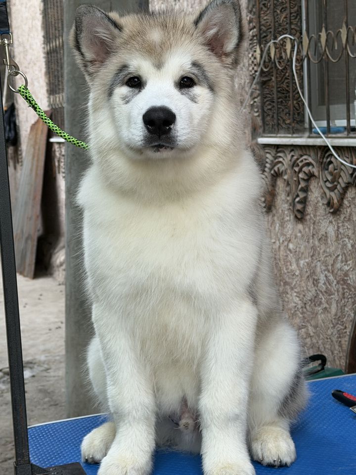 800 USD