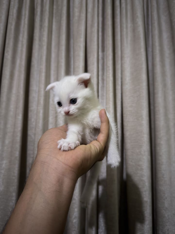 125 USD