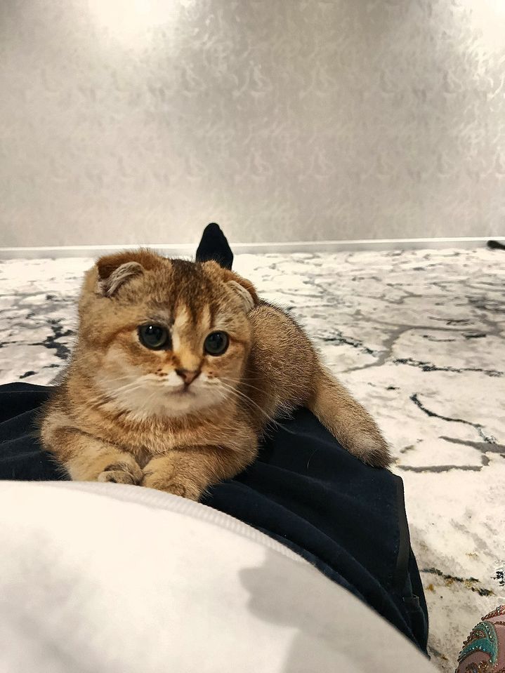 150 USD