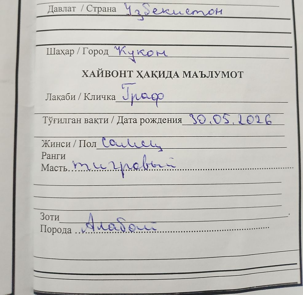 300 USD