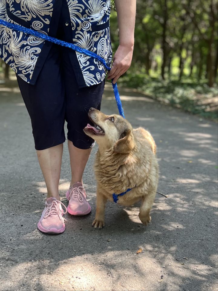 Бесплатно