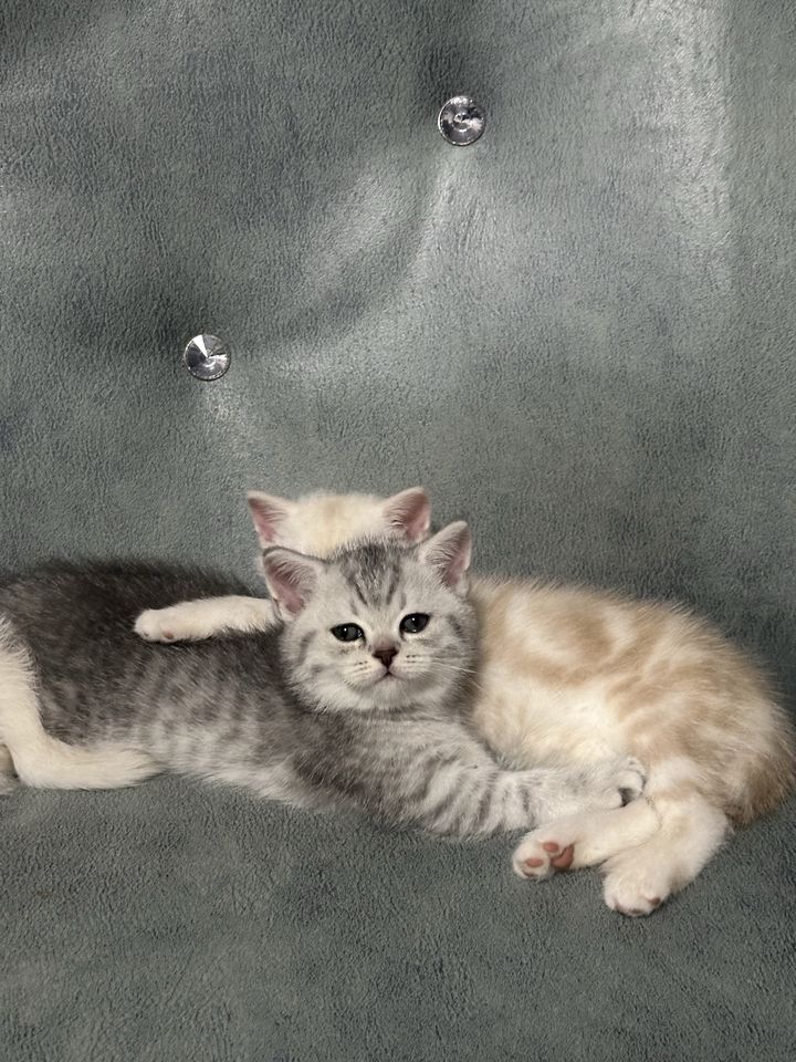 100 USD