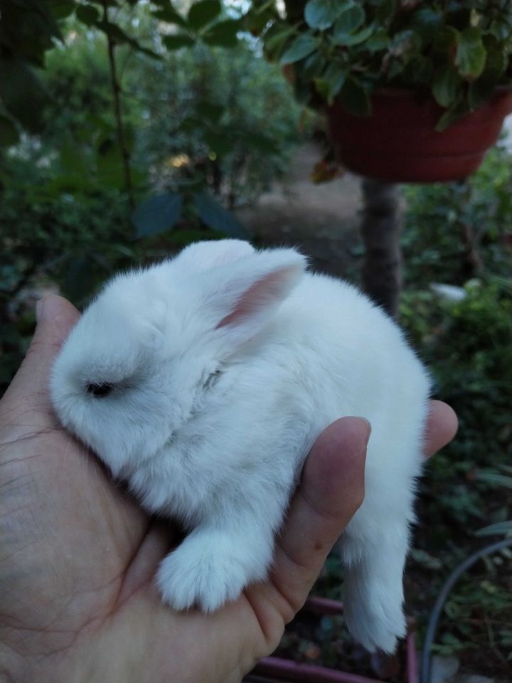 20 USD