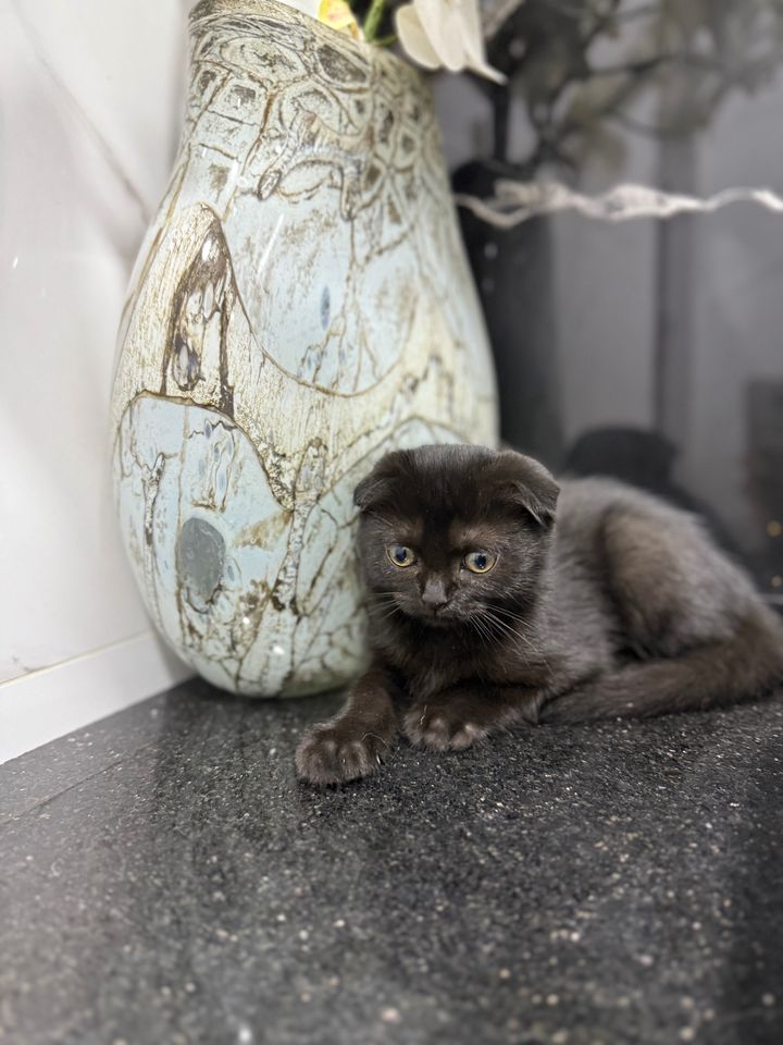 500 000 сум