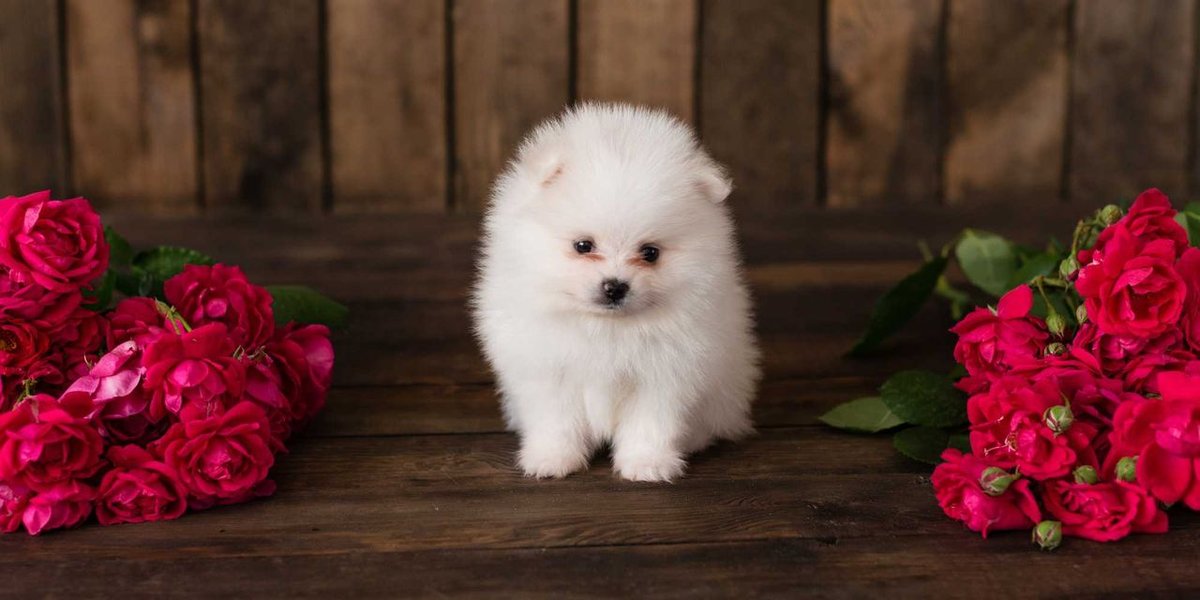 659 USD