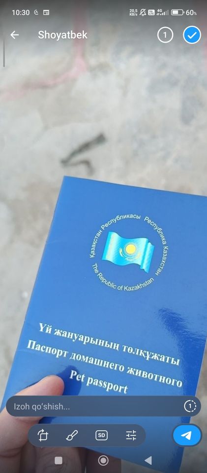 650 USD
