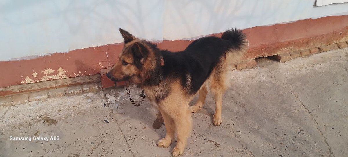 700 000 сум