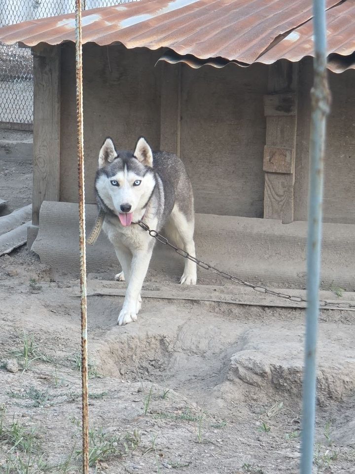 1 000 000 сум