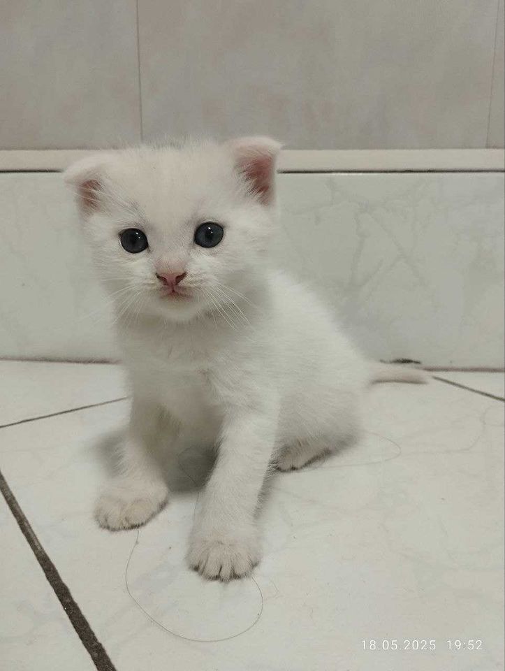 400 000 сум
