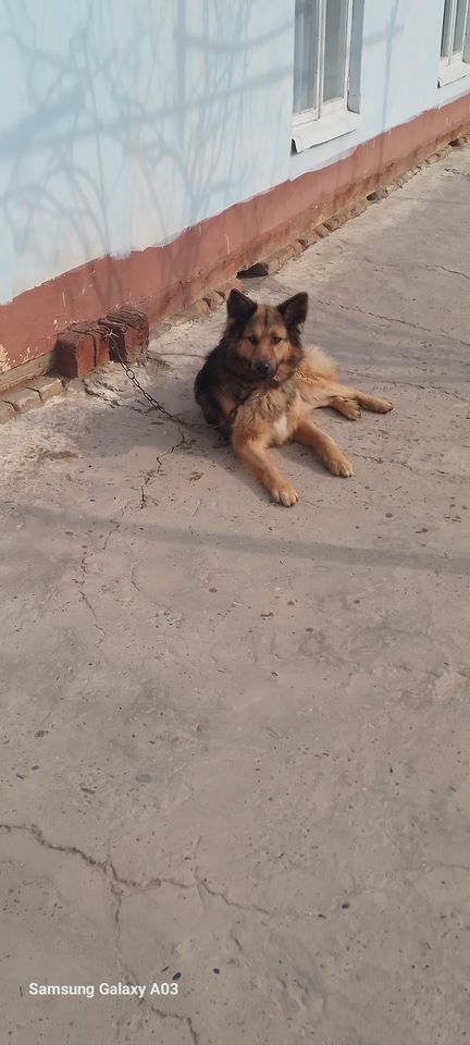 700 000 сум