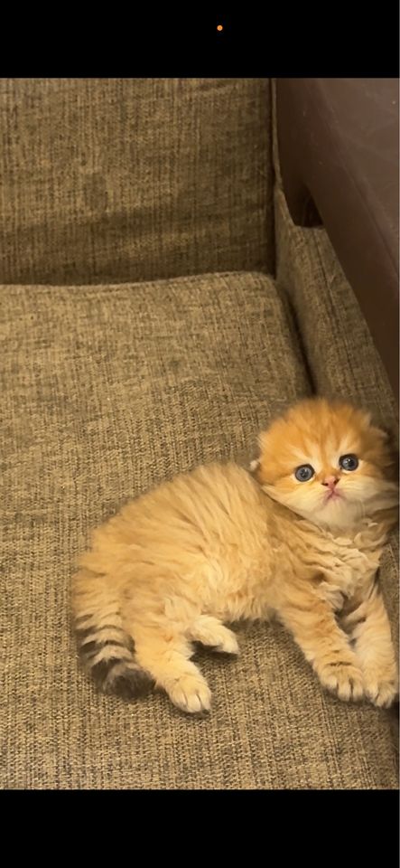 150 USD