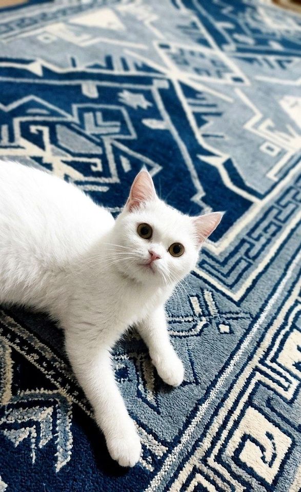 1 200 000 сум