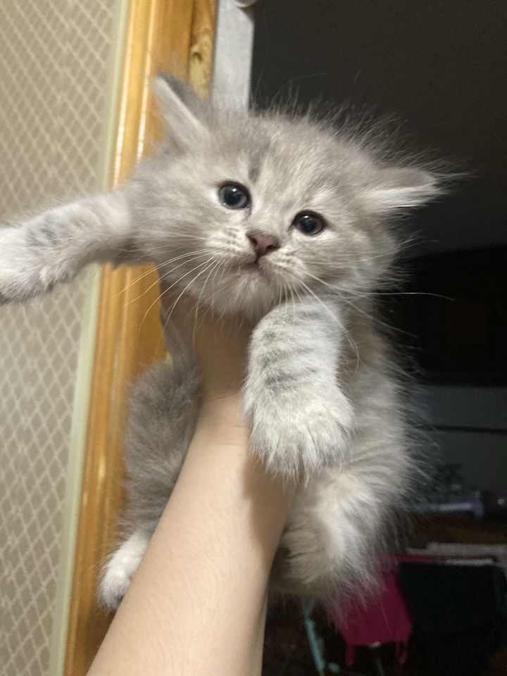 950 000 сум