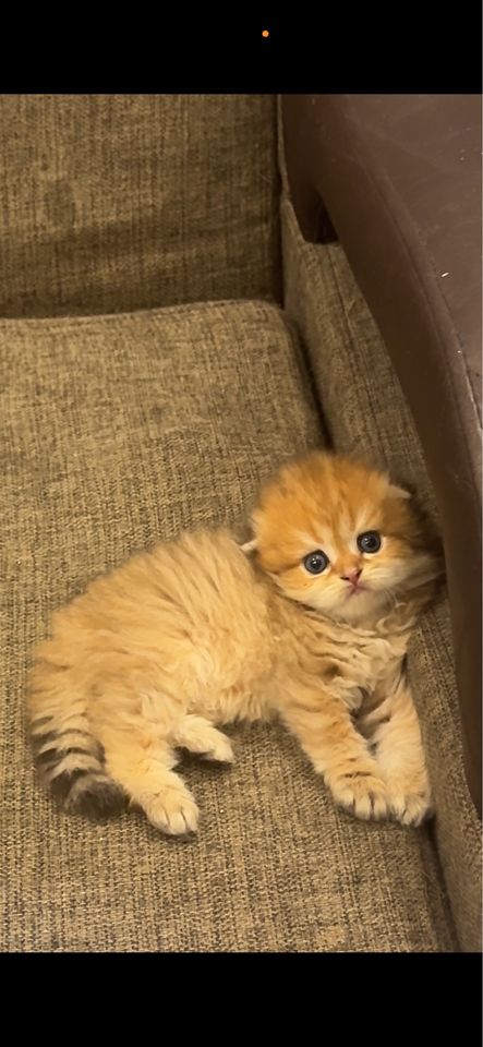 150 USD