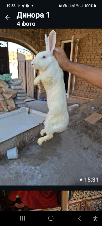 150 000 сум