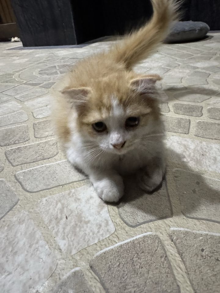 75 USD