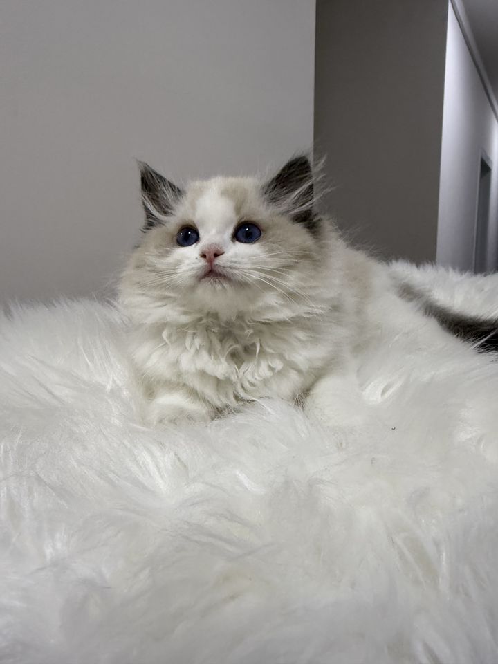 1 500 USD