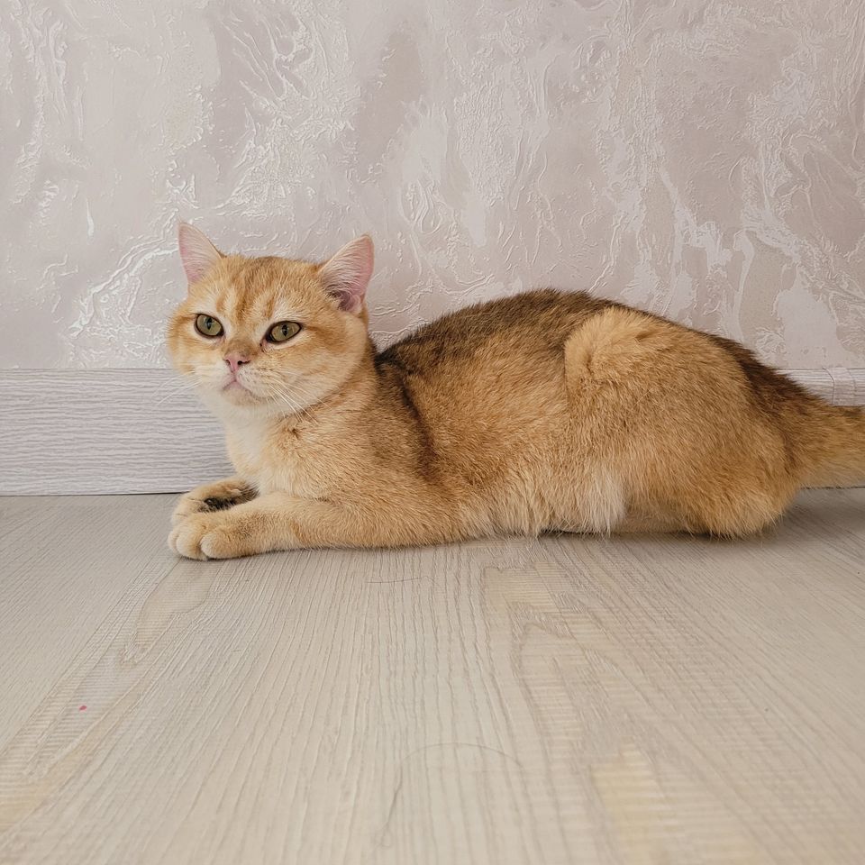 800 000 сум