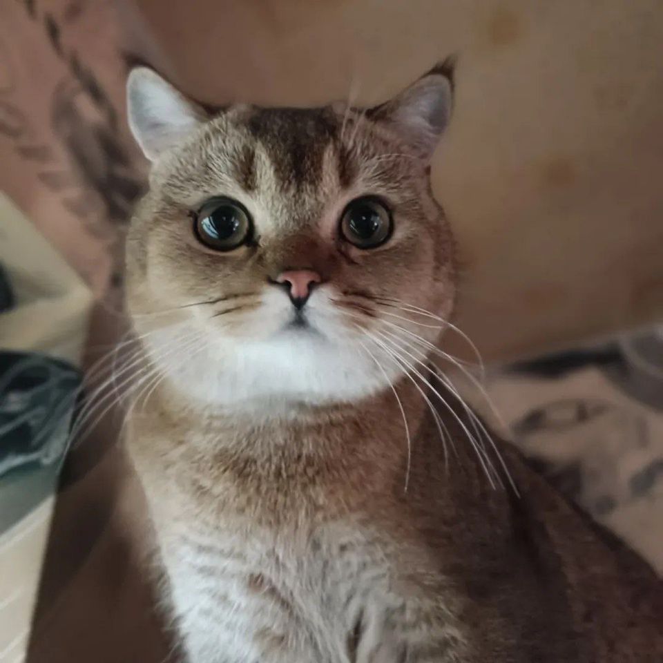 1 000 000 сум
