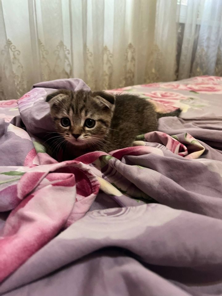 1 000 000 сум