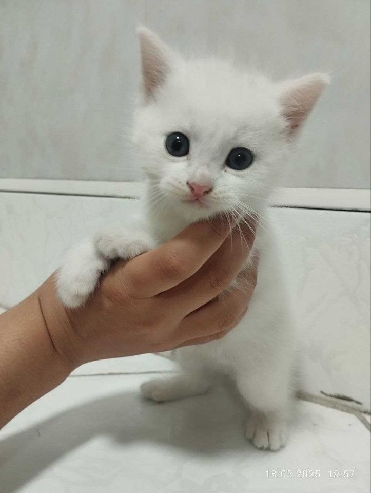 400 000 сум