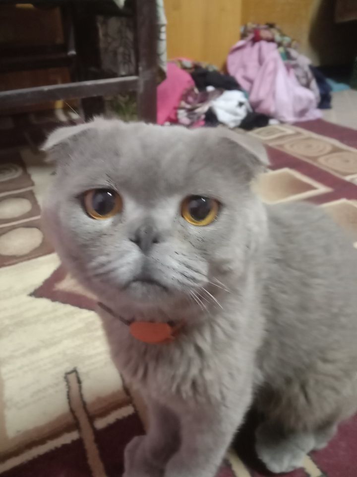 100 USD