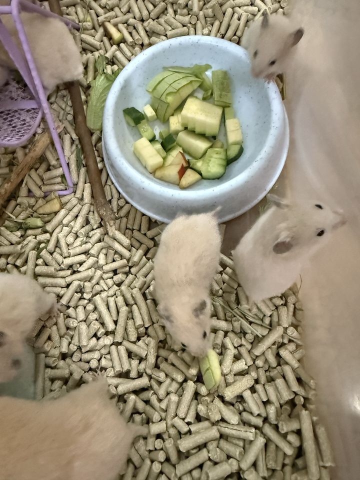 30 000 сум