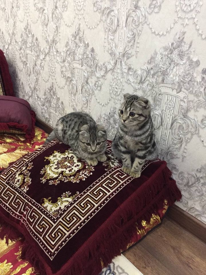120 USD