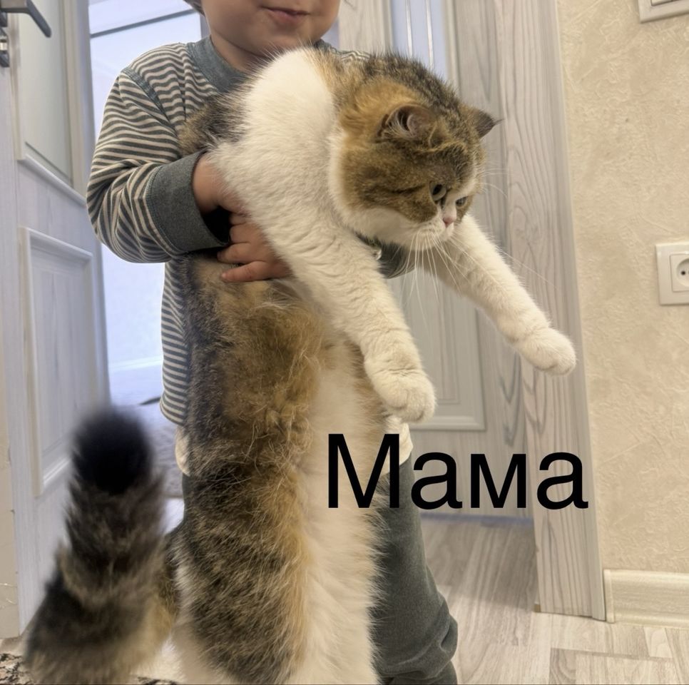 120 USD