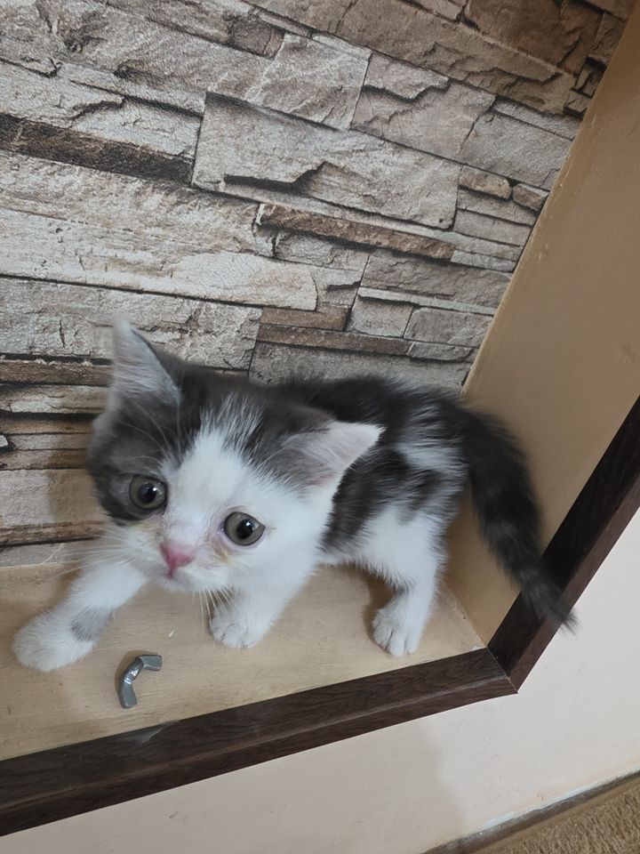 150 000 сум