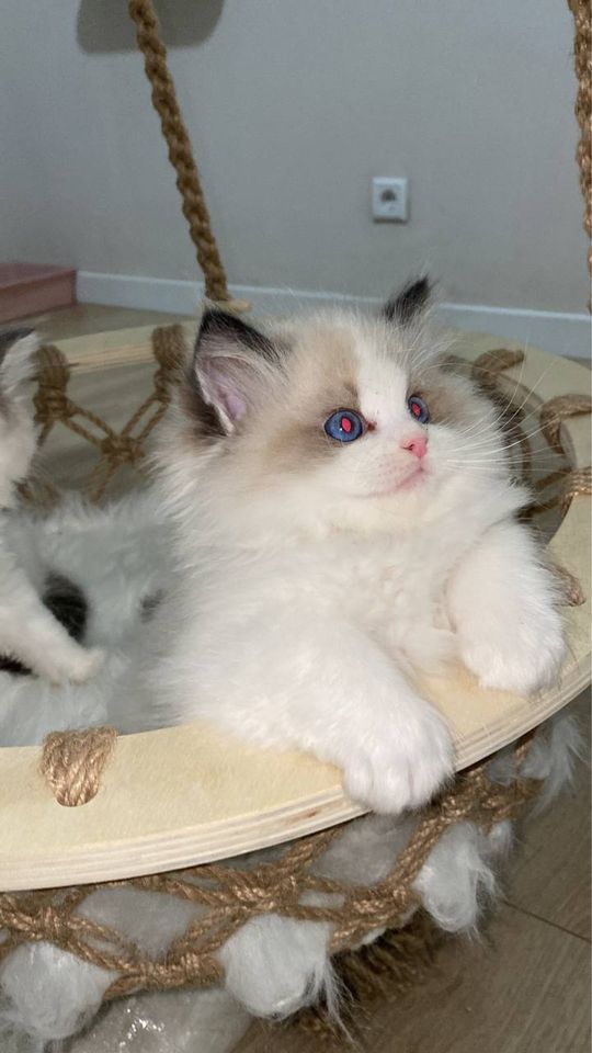 1 500 USD