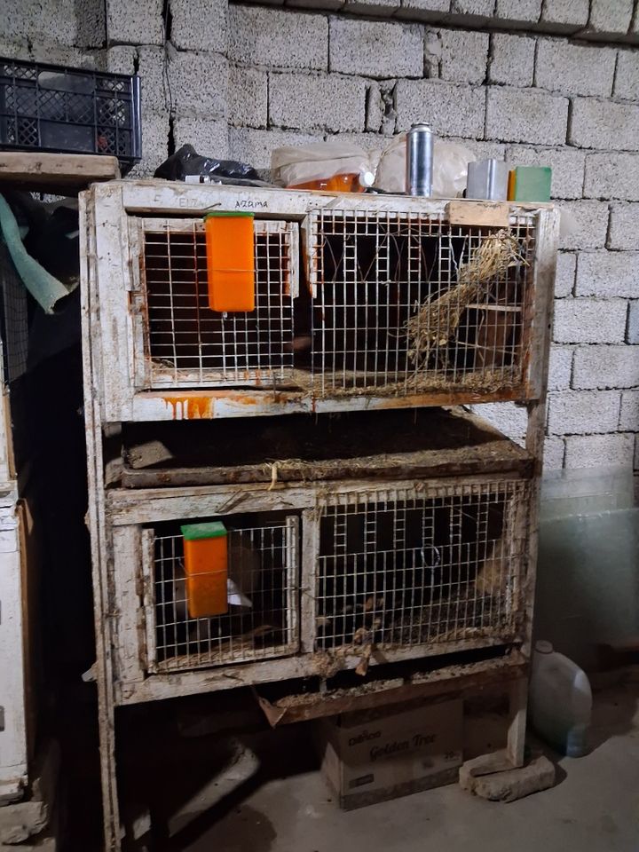 250 000 сум
