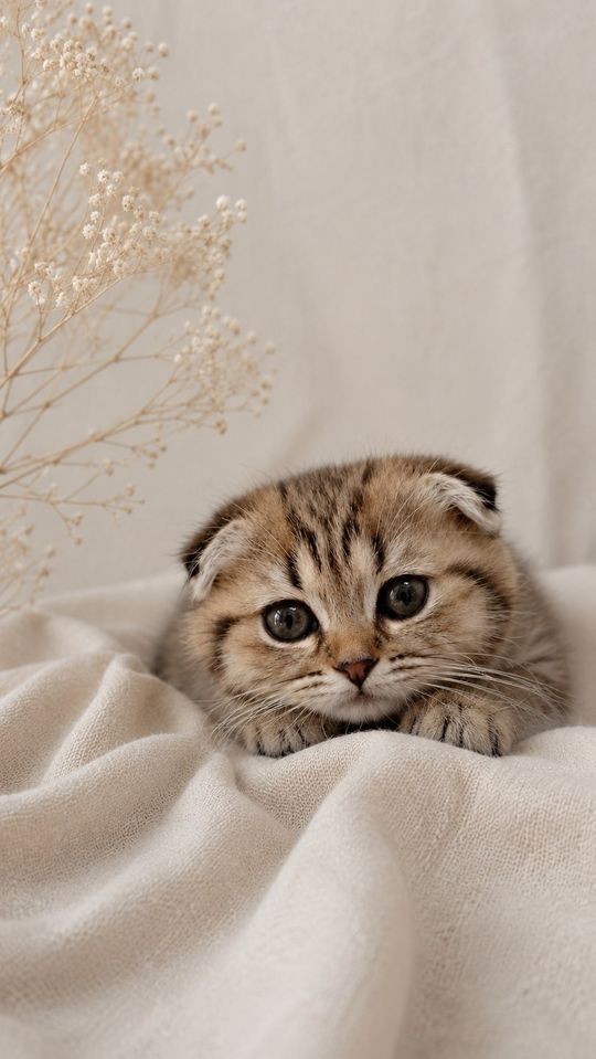750 000 сум