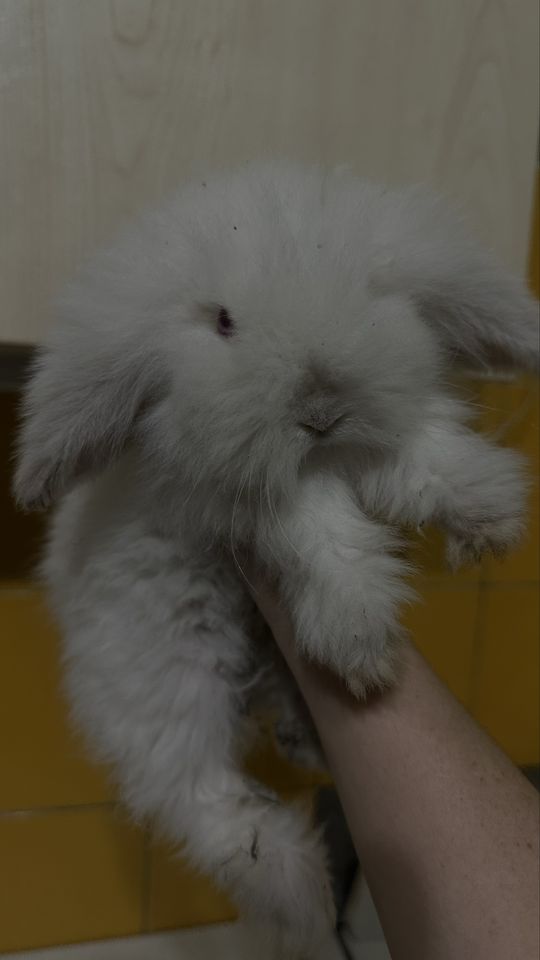 100 000 сум