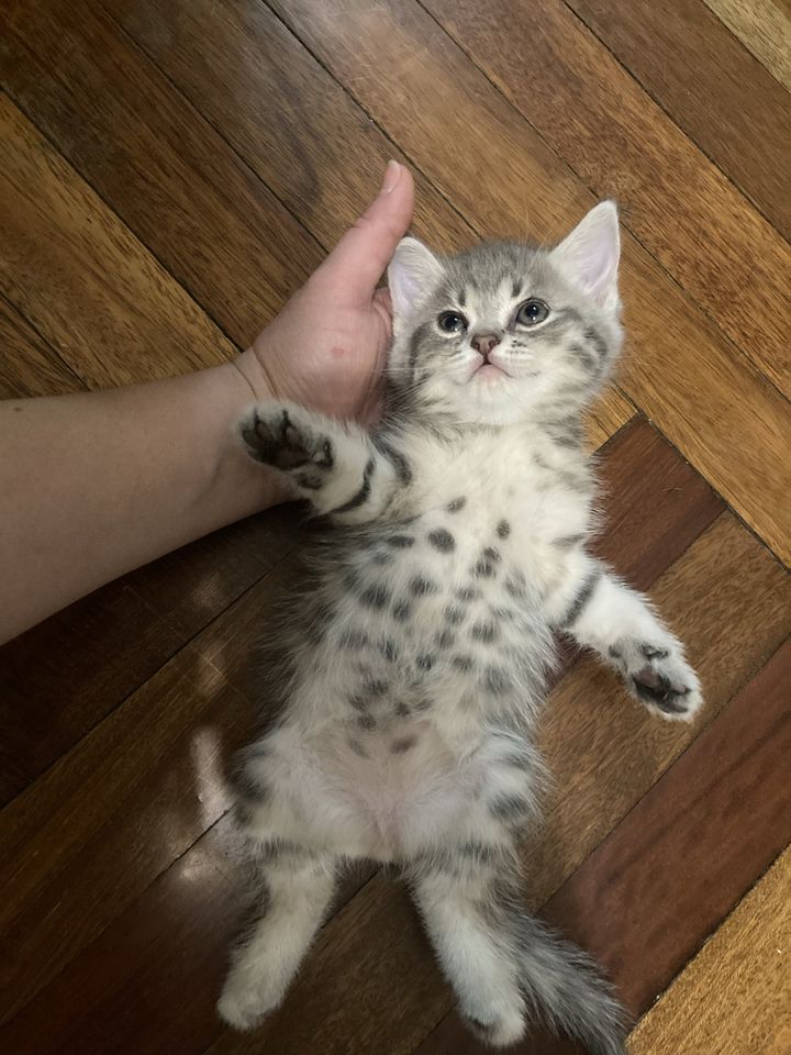 950 000 сум